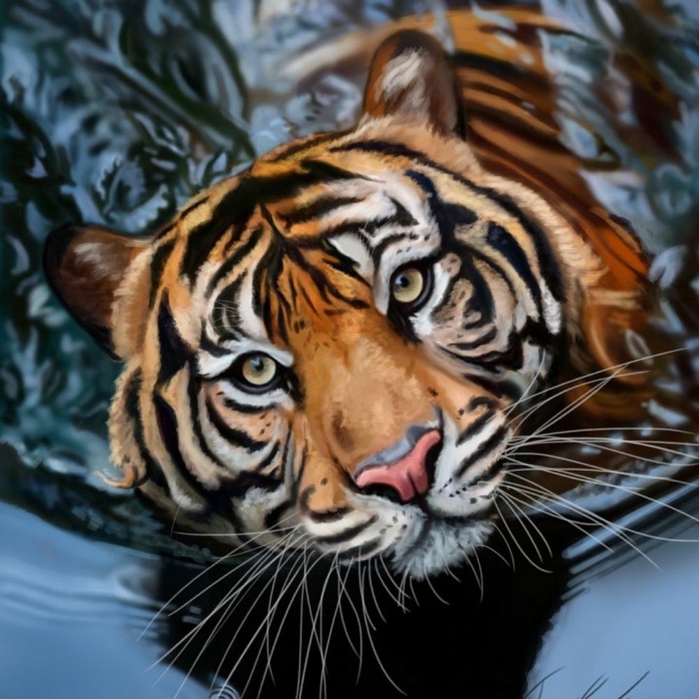 Meet your Posher, Jenn